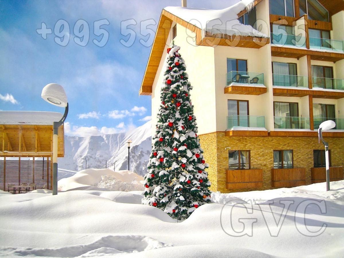 Gvc New Gudauri Alpic Mountain View公寓 外观 照片